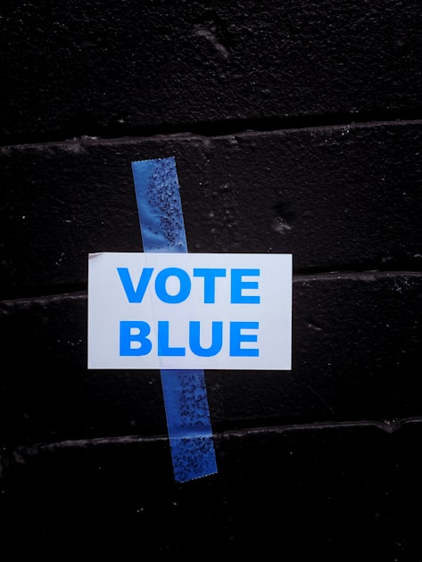 The Role of Representation in Politics